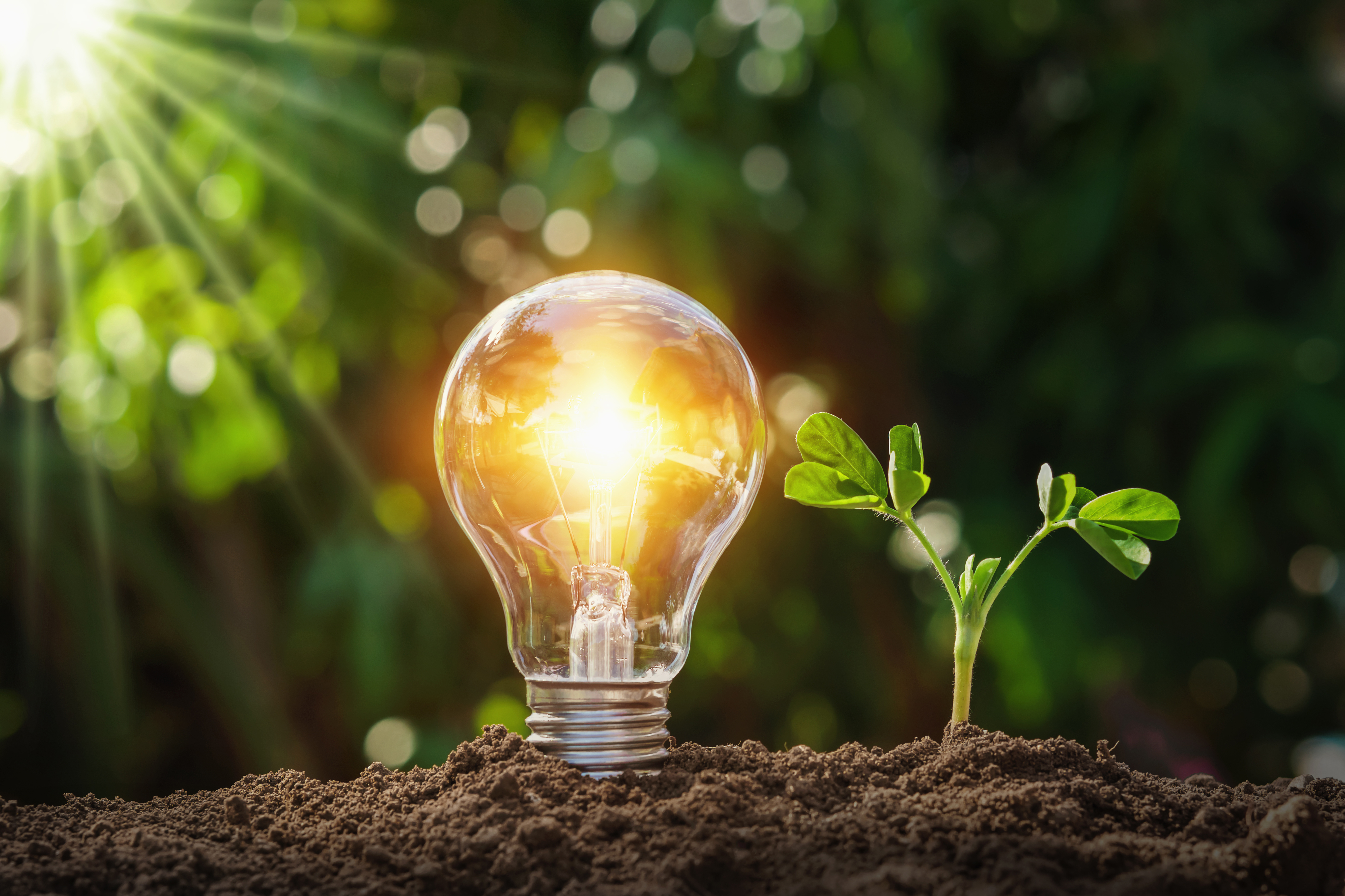 Blue line motif background