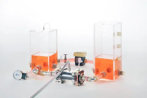 Blood-Circulation Simulator